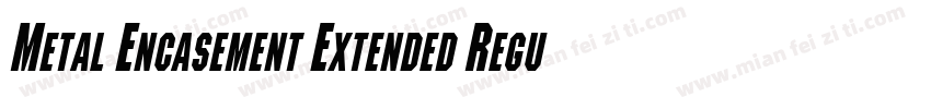 Metal Encasement Extended RegularSW字体转换